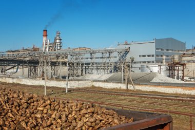 Şeker pancarı pancar, demiryolu ile yük vagonları pl şeker