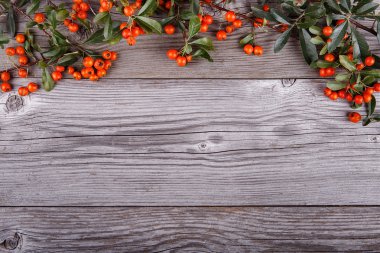 Eski ahşap doku tahta üzerinde turuncu ateş dikeni çilek