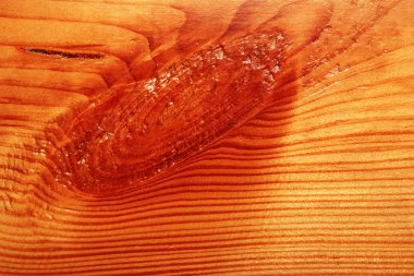 Doku vernikli ahşap çam ağacı bir arka plan olarak