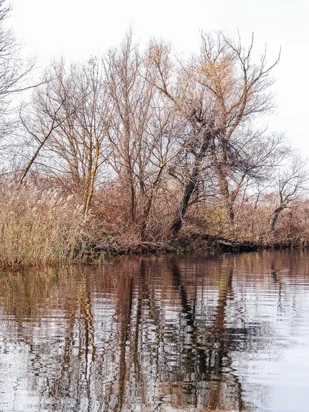 Nehir Ile Manzara Nehir Kıyısında Çıplak Ağaçlar Suya Yansıyan Satır — Stok fotoğraf