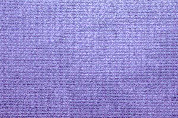 Фиолетовый, лиловый, лиловый . — стоковое фото