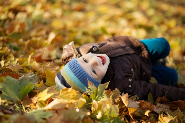 Retrato de um menino alegre engolir na folhagem de outono — Fotografia de Stock