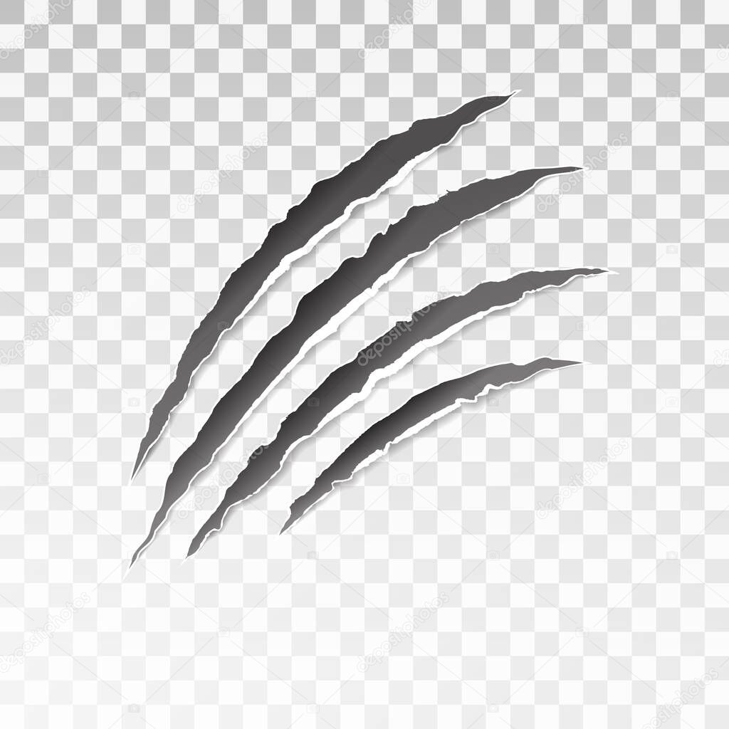 Animal black scratches on transparent background. Paper claws animal scratching. Claw scratch mark. Animal predator paw claw, knife scratch trace. Horror slash trace. vector illustration