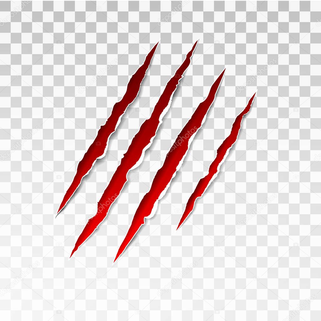 Animal red scratches on transparent background. Paper claws animal scratching. Claw scratch mark. Animal predator paw claw, knife scratch trace. Horror slash trace. vector illustration