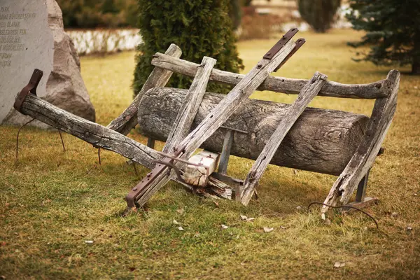 ördek, yeşil, hayvan, kuş, su birikintisi, su, tüyler, arka plan, beyaz, doğa, Yüzme,