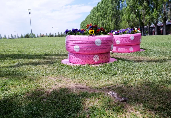 Araba lastiği çiçek  