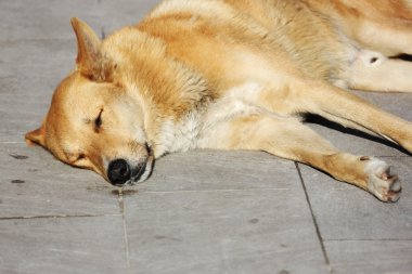tepe dağ manzarası