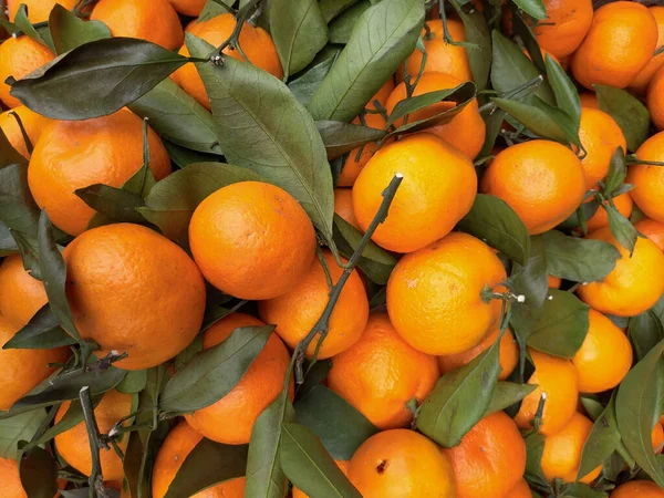 Yeşil Yapraklı Taze Mandalina Portakallarının Üst Görüntüsü Geleneksel Sokak Pazarında — Stok fotoğraf