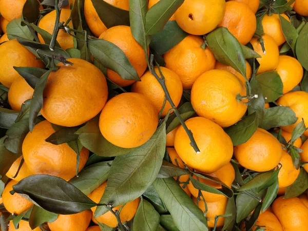 Вид Зверху Купу Свіжих Мандаринових Апельсинів Зеленим Листям Продаж Традиційному — стокове фото