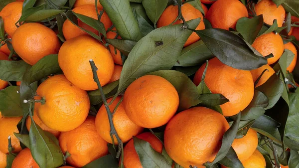 Bovenaanzicht Van Een Bos Verse Mandarijnen Sinaasappels Met Groene Bladeren — Stockfoto