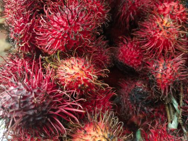 Taze tatlı kırmızı rambutan, mevsimlik Asya tüylü meyveleri, Endonezya 'da geleneksel bir pazarda satılıyor.