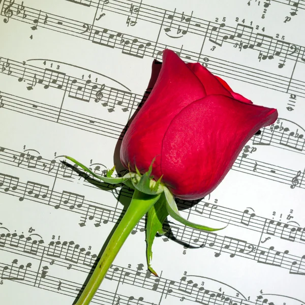 The music of love — Stock Photo, Image