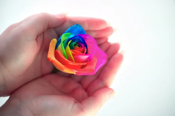 The rainbow between the fingers — Stock Photo, Image