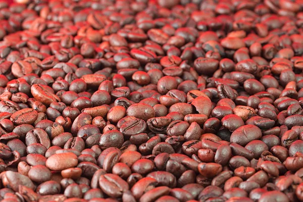 Coffee beans — Stock Photo, Image