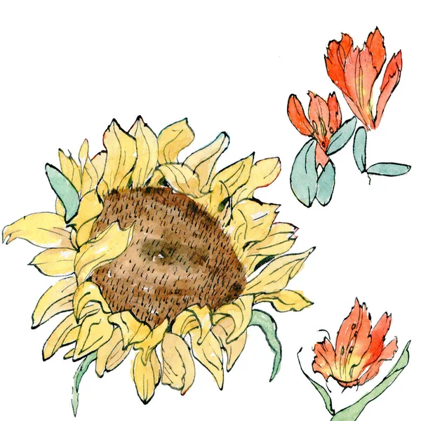 Akvarel Náčrtek Ilustrace Jasné Slunečnice Alstroemeria Nakreslené Ručně Izolované Bílém — Stock fotografie