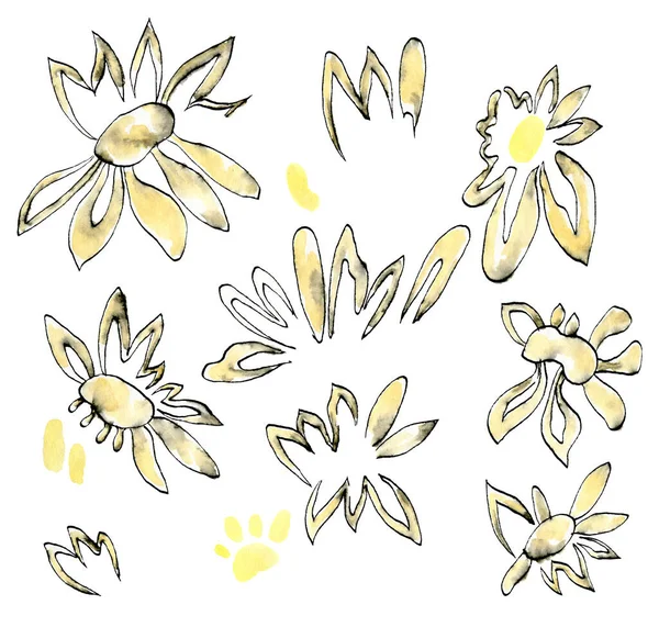 Aquarelle Illustration Ensemble Fleurs Marguerites Jaunes Graphiques Croquis Noir Blanc — Photo