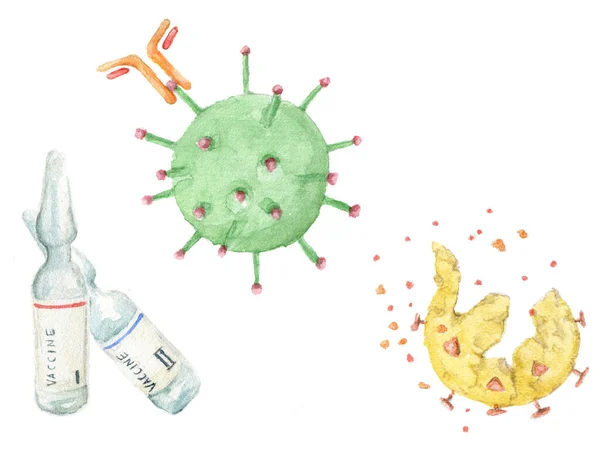 Akwarelowa Ilustracja Dwuskładnikowej Szczepionki Strzykawki Wstrzykiwań Przeciwciał Przeciwciał Atakuje Wirusa — Zdjęcie stockowe