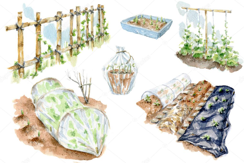 Set of watercolor illustrations of spring sowing work. Hand drawn watercolor painting of greenhouse, garden, vertical beds and garden tools on white background for design, clipart and stikers.