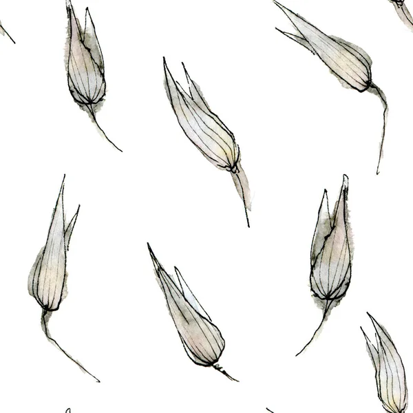 Akvarel Ilustrace Jemných Pastelových Zrn Náčrtku Stylu Elegantní Sušené Prvky — Stock fotografie