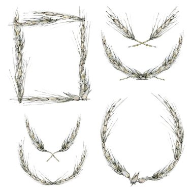 Dekoratif çerçeve, çelenk ve buğday köşeleri, çizim tarzında suluboya çizimler. Hassas pastel, bej yulaflar beyaz arkaplanda, kopyalanmış boşlukla kenar.