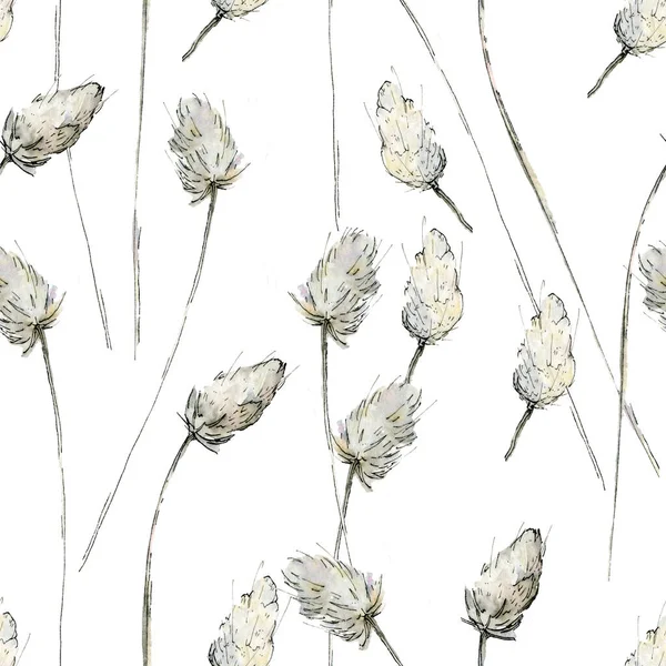 Aquarell-Illustration zarter pastellfarbener, beigefarbener flauschiger Zweige im Skizzenstil. Elegante getrocknete Blumen auf weißem Hintergrund. — Stockfoto