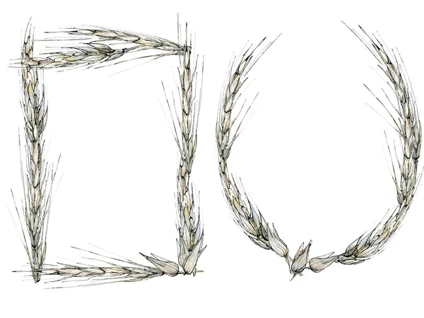 Zierrahmen und Kranz aus Getreide, Aquarell-Illustration im Skizzenstil. Zartes Pastell, beige Haferborte mit Copyspace, auf weißem Hintergrund. — Stockfoto