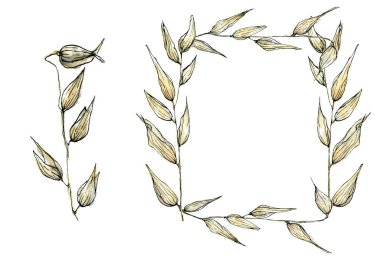 Sarı kurutulmuş mısır gevreğinin dekoratif çerçevesi ve çizim tarzında tek buğday suluboya çizimi. Kopyalama alanı olan eski püskü bir sınır, beyaz arkaplanda izole edilmiş.