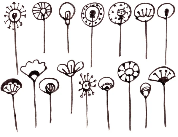 Ensemble dessiné à la main de fleurs ethniques minimalistes graphiques. Illustration vectorielle monohrome simple de fleurs et de branches à dessiner. — Image vectorielle