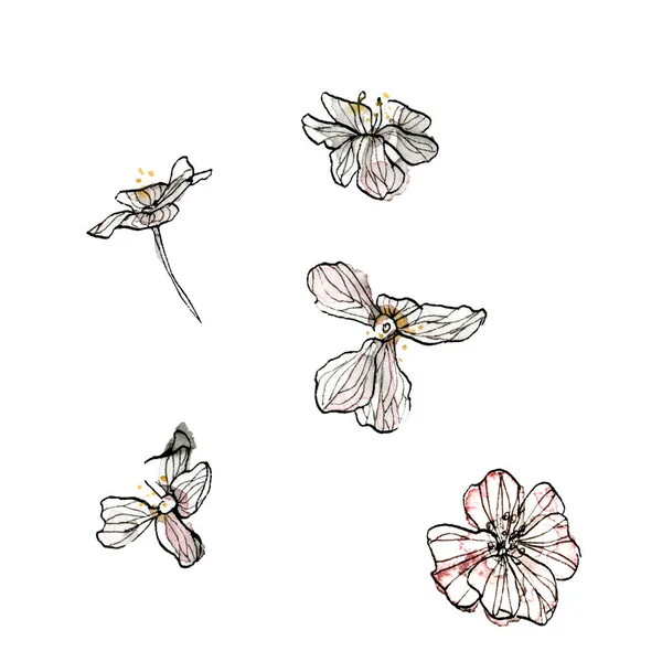 Čínská malba květin, jasmín, květy na bílém pozadí. Akvarel a inkoust ilustrace prvků jarních květin. — Stock fotografie