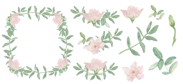 Akvarell illustration element: ram, hörn av pastell rosa blommor och gröna blad ritade för hand på en vit bakgrund. Bröllopsblomma set. — Stockfoto