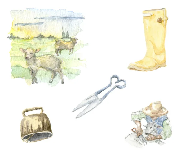 Set of watercolor illustrations of farming sheep shearing . Hand drawn watercolor painting of sheep, scissors, bell, rubber boots, vista on white background. — Stock Photo, Image