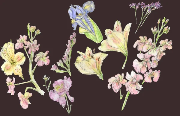 Conjunto de acuarela con elementos de ilustración individuales de flores de color rosa pastel, amarillo, púrpura, hojas verdes dibujadas a mano en forma de boceto sobre un fondo oscuro, marrón-gris. Composición floral. —  Fotos de Stock