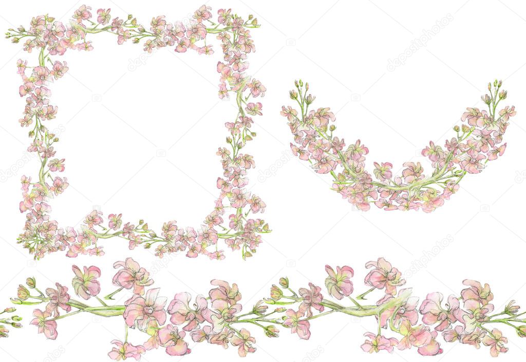 Watercolor set: frame, stripe and corner made of pastel pink mattiola. Flowers drawn by hand on a white background. Delicate floral border for wedding, greeting cards, jewelry and other designs.