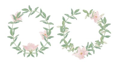 Yeşil dallardan oluşan dekoratif çelenkler pastel pembe çiçekler, elle çizilmiş suluboya resimler. Romantik, telif uzayı olan soyut çiçek sınırı, beyaz arka planda izole edilmiş. Şenlikli davetiye, klasik çiçek, bahar için bitkisel element, düğün.