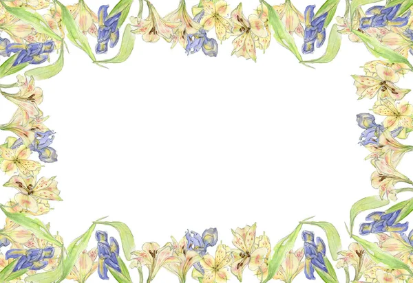 水彩画一套花卉构图,紫罗兰色,黄色花,绿色叶,手工画在白色背景上. — 图库照片