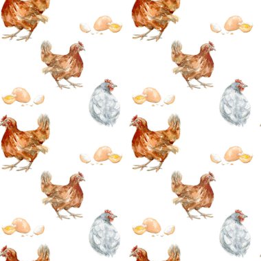 Elle çizilmiş suluboya kusursuz tavuk ve yumurta deseni. Kulübe tarzı köy hayvanları. Beyaz arka planda izole edilmiş çiftlik dijital kağıdı. Ülke tırmanışı gerçekçi bir şekilde.