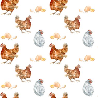 Hand drawn watercolor seamless pattern of chickens and eggs. Cottage style village animals. Farm digital paper isolated on white background. Country clipart in a realistic manner. clipart
