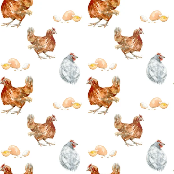 Hand drawn watercolor seamless pattern of chickens and eggs. Cottage style village animals. Farm digital paper isolated on white background. Country clipart in a realistic manner.