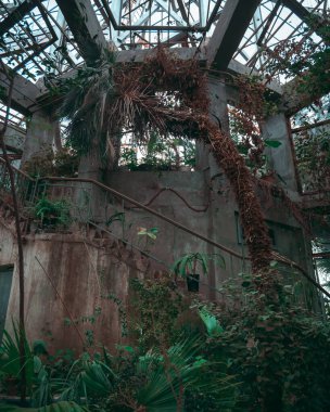 Uzun, parlak bir portakal ya da konservatuarın içi, dikey cam paneller ve çerçeveli yapılar sergiliyor. Güçlü, yönlendirilmiş doğal ışık canlı, dramatik geometrik gölgeler yaratır..