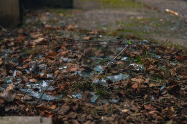 Keskin bir kırık cam parçasının yakın plan görüntüsü yerden dikey olarak çıkıntılı. Cam parçaları, çatışmanın trajik sonuçlarını vurgulayan bir bombardıman ya da patlamanın sonucu..