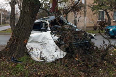 Ciddi bir trafik kazasından sonra bir yolcu arabası büyük hasar gördü. Araba, yolun kenarındaki bir ağaca çarptı. Ön tarafı tamamen tahrip etti. Ön camı kırdı ve yere enkaz ve parçalar saçtı.