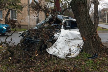 Ciddi bir trafik kazasından sonra bir yolcu arabası büyük hasar gördü. Araba, yolun kenarındaki bir ağaca çarptı. Ön tarafı tamamen tahrip etti. Ön camı kırdı ve yere enkaz ve parçalar saçtı.