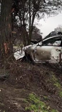 Ciddi bir trafik kazasından sonra beyaz bir yolcu arabası büyük hasar gördü. Araba, yolun kenarındaki bir ağaca çarptı. Ön tarafı tamamen tahrip etti. Ön camı kırdı ve yere enkaz ve parçalar saçtı..