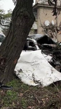 Ciddi bir trafik kazasından sonra beyaz bir yolcu arabası büyük hasar gördü. Araba, yolun kenarındaki bir ağaca çarptı. Ön tarafı tamamen tahrip etti. Ön camı kırdı ve yere enkaz ve parçalar saçtı..