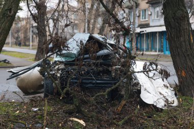 Ciddi bir trafik kazasının ardından: tamamen tahrip olmuş bir ön ucu olan beyaz bir yolcu arabası, şehir caddesinin kenarında bir ağaca çarptı. Açık motor bölmesi, buruşuk kaput, kırık ön cam ve deforme olmuş kapılar görülebilir durumda.