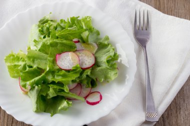 Turp ve zeytinyağı beyaz plaka üzerinde yeşil salata