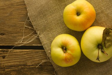 Keten kumaş üzerine ağaç elma