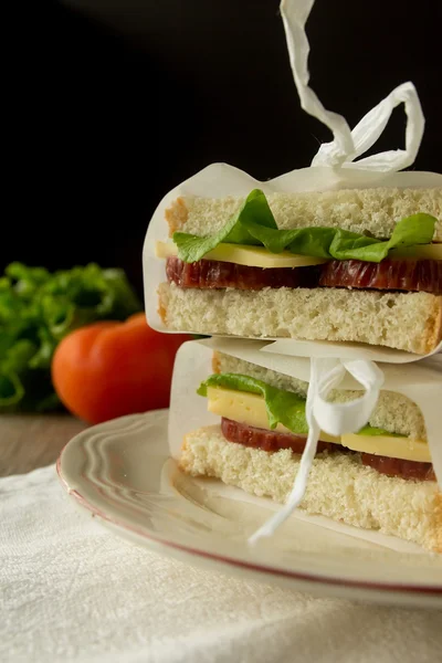 Сэндвичи с салями — стоковое фото
