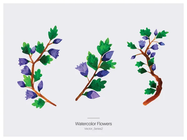 Flores de acuarela. Ilustración vectorial . — Vector de stock