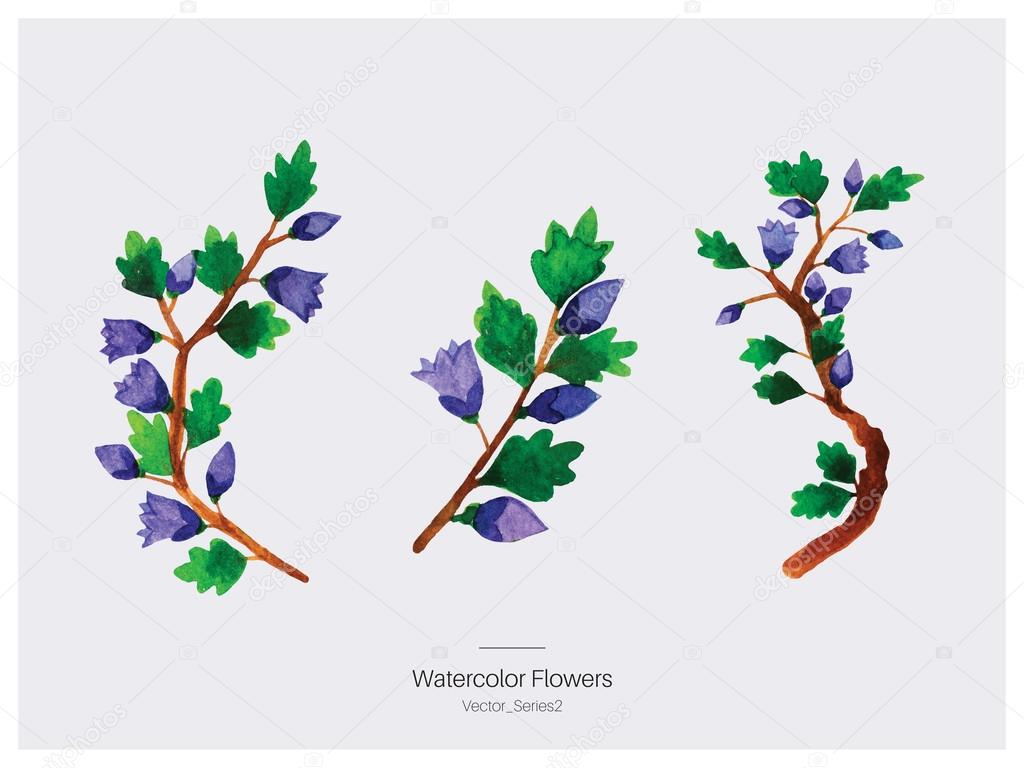 Watercolor Flowers. Vector illustration.